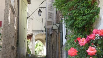 Jardines del alojamiento