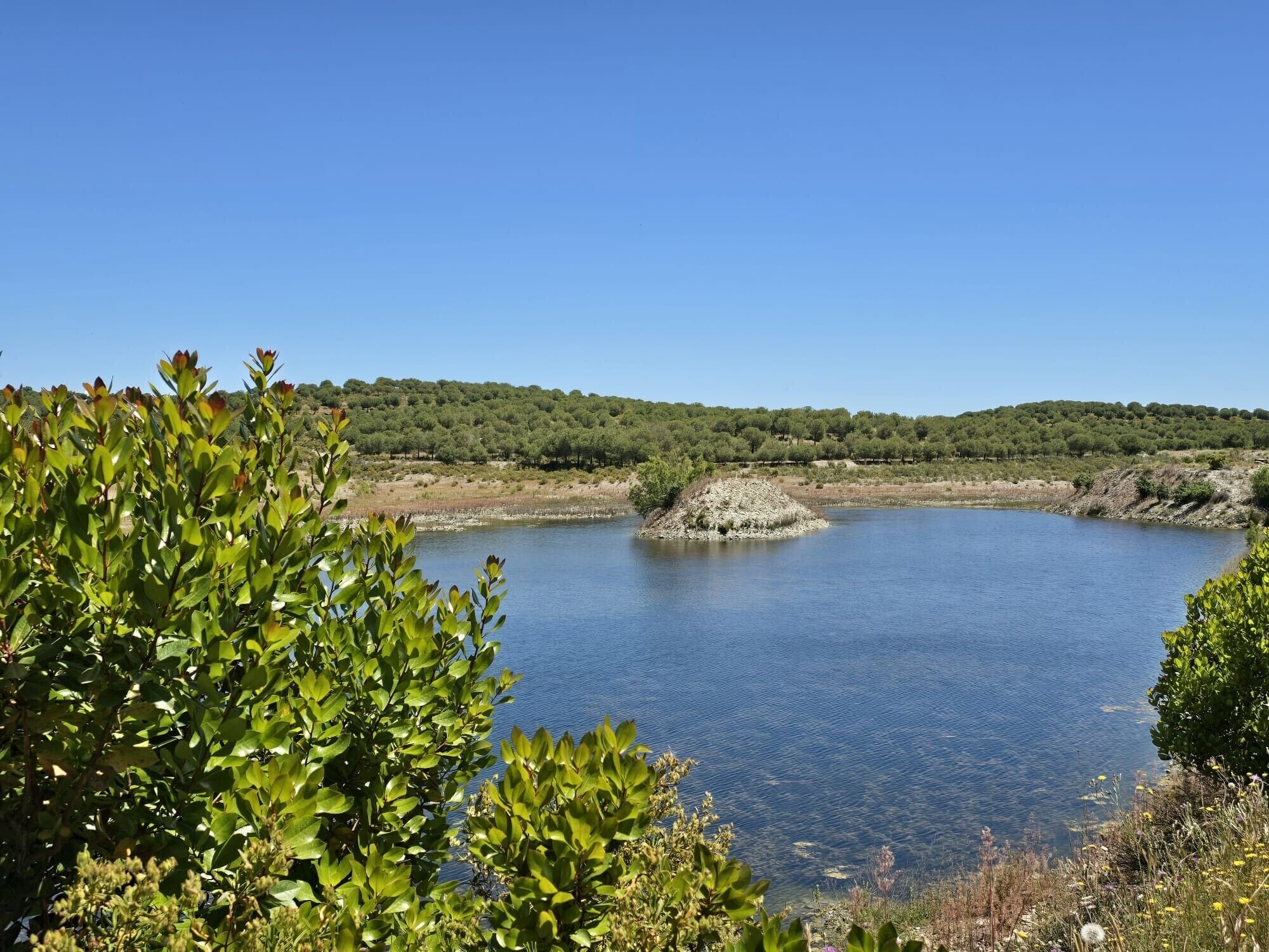 On peut admirer un lac, entouré d’une végétation luxuriante, avec une colline qui se dessine à l’horizon.