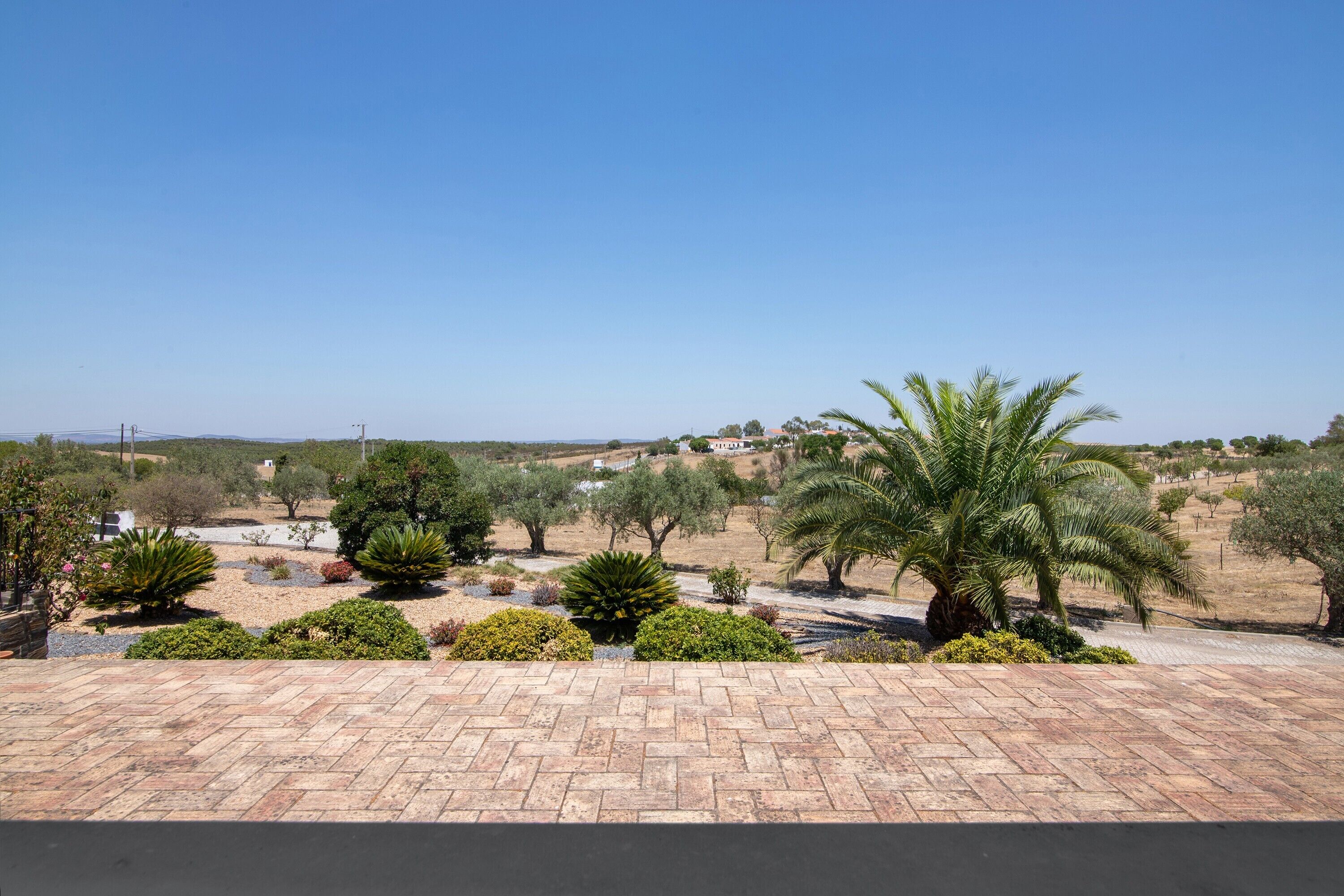 A paved outdoor area with various plants and trees, including palm trees, under a clear blue sky.