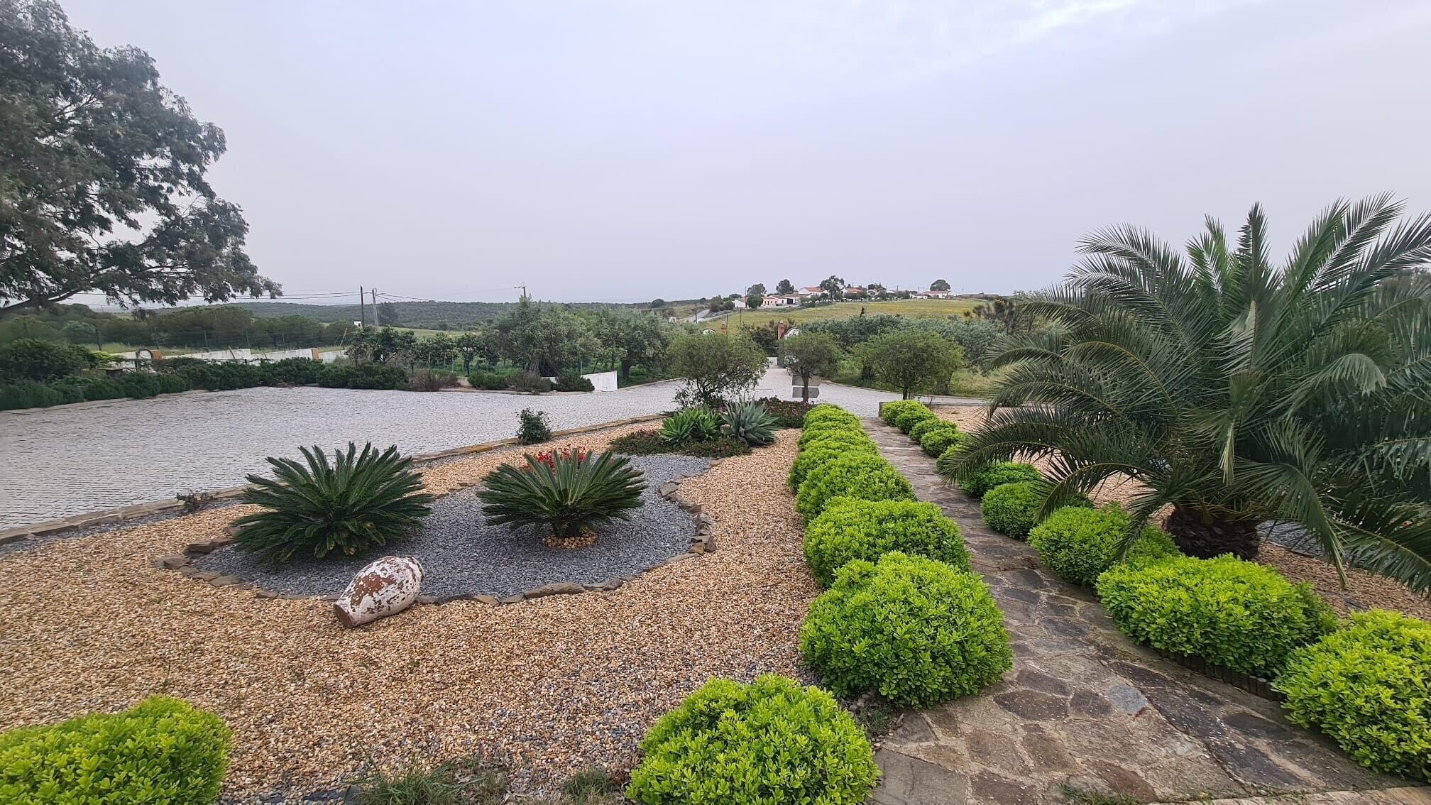 Un jardin aménagé avec un élément aquatique, des allées pavées de pierres et divers arbustes.