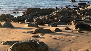 Ein felsiger Strand mit klarem, blauem Wasser und einer entfernten Küstenlinie.