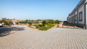 Un chemin pavé mène à un bâtiment doté d’un toit en tuiles et à un jardin où poussent différentes plantes, ainsi qu’un palmier.
