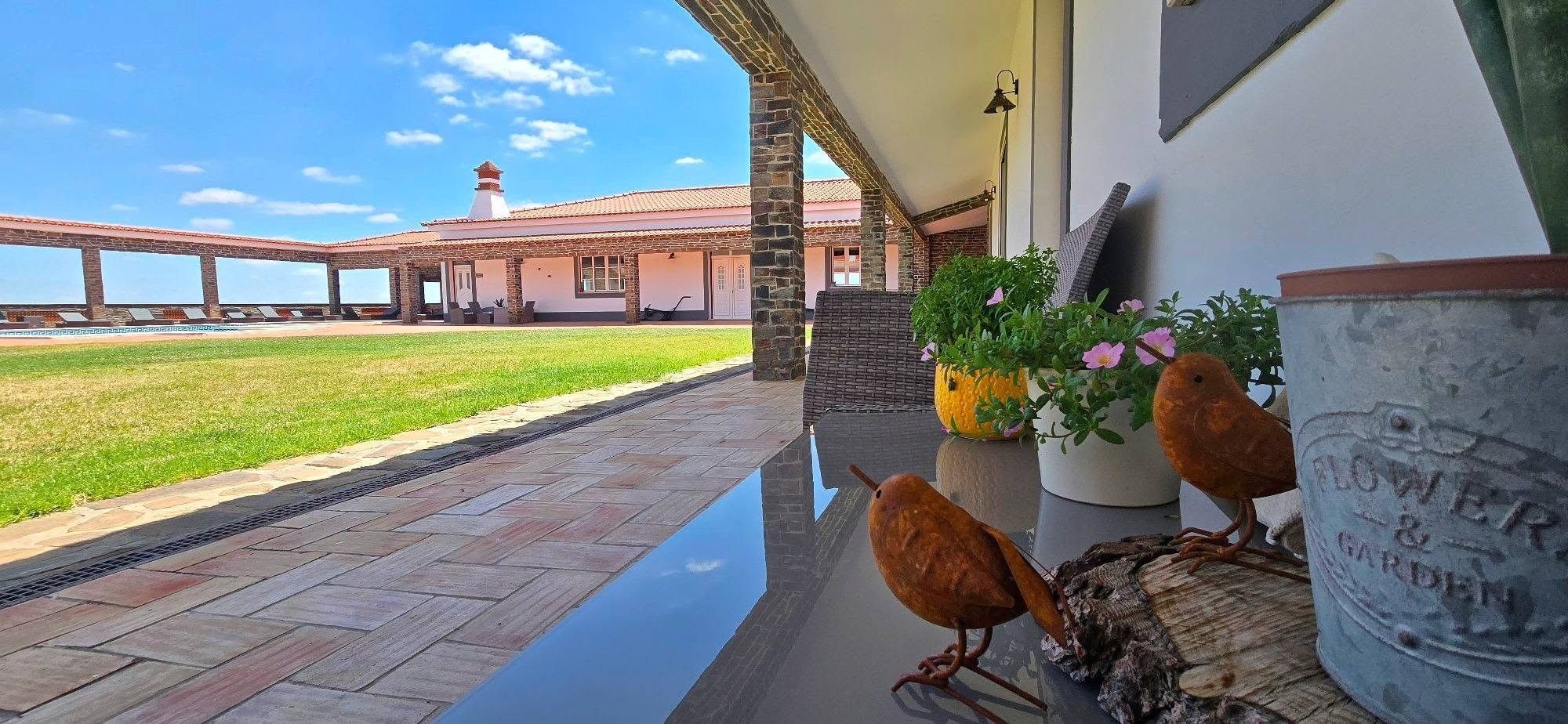 A patio with a view of a building, a bird feeder, and potted plants.