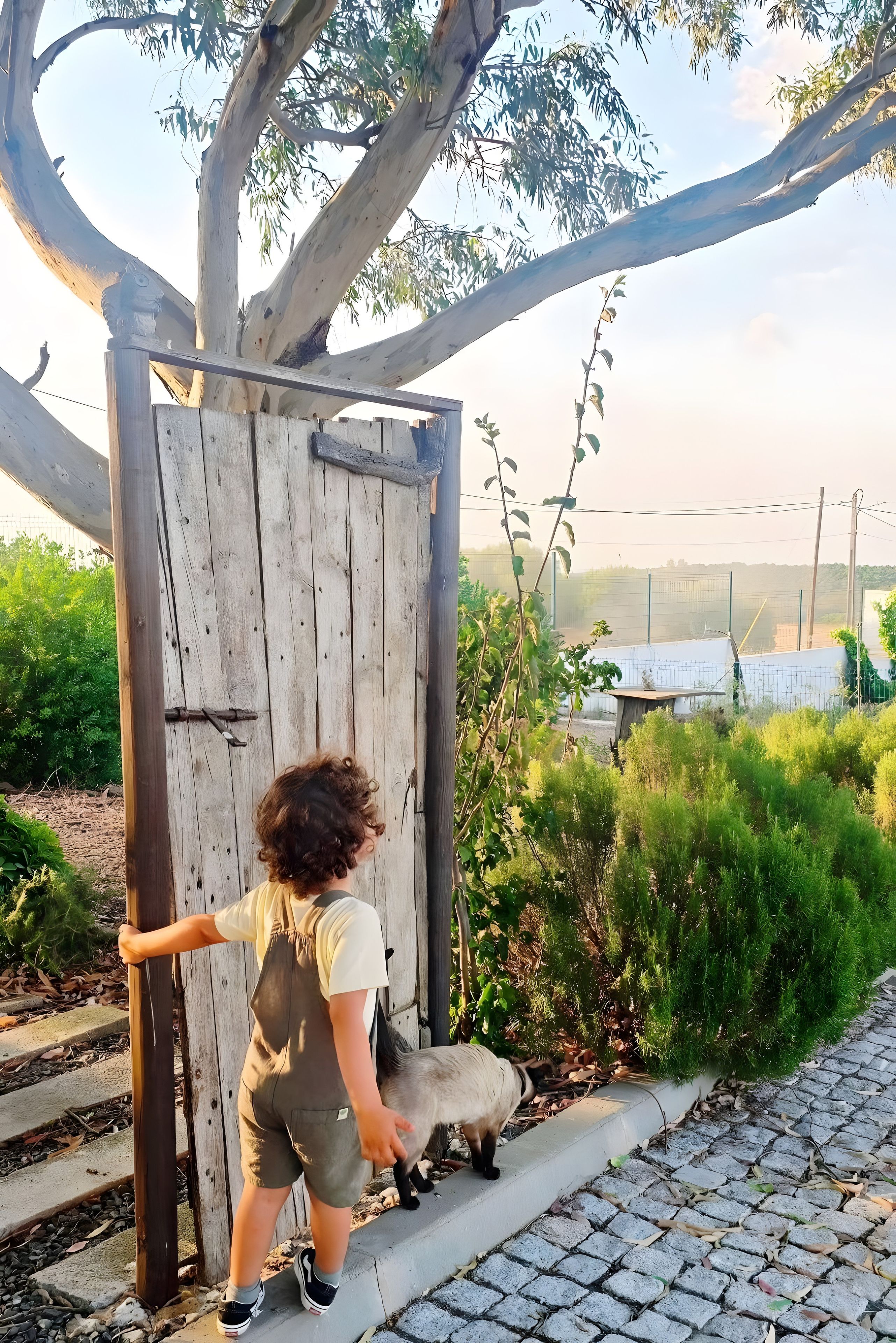 A person interacting with a wooden structure in a garden setting.