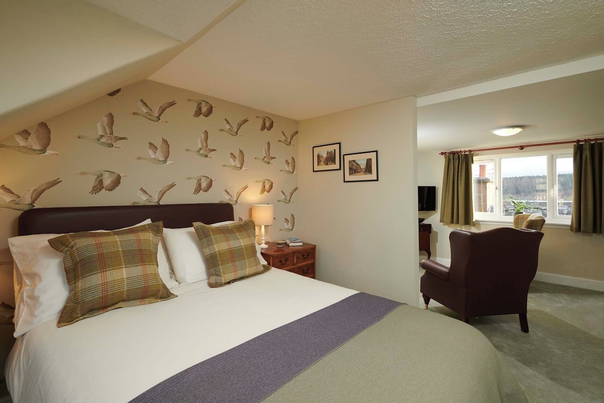 A hotel room with a large bed, a chair, a nightstand, and a wall with bird decals.