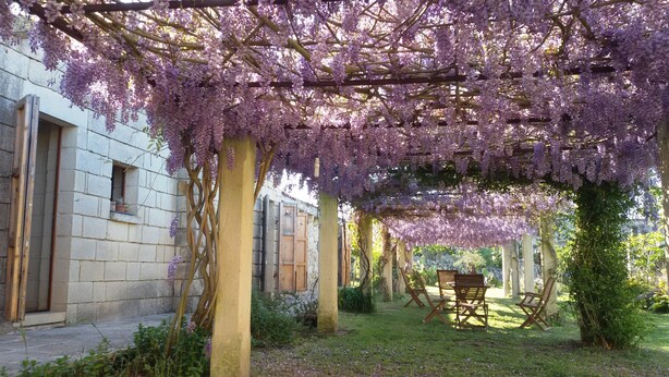 A garden with a pergola covered in purple flowers, a stone building, and outdoor furniture.
