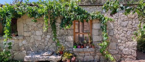 المنطقة المحيطة بالمنشأة