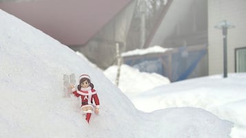雪地及滑雪運動