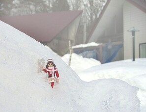 Sneeuw- en skisporten