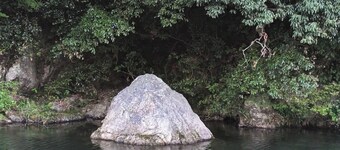 The hotel next door is Ise Shrine / Ise Mie