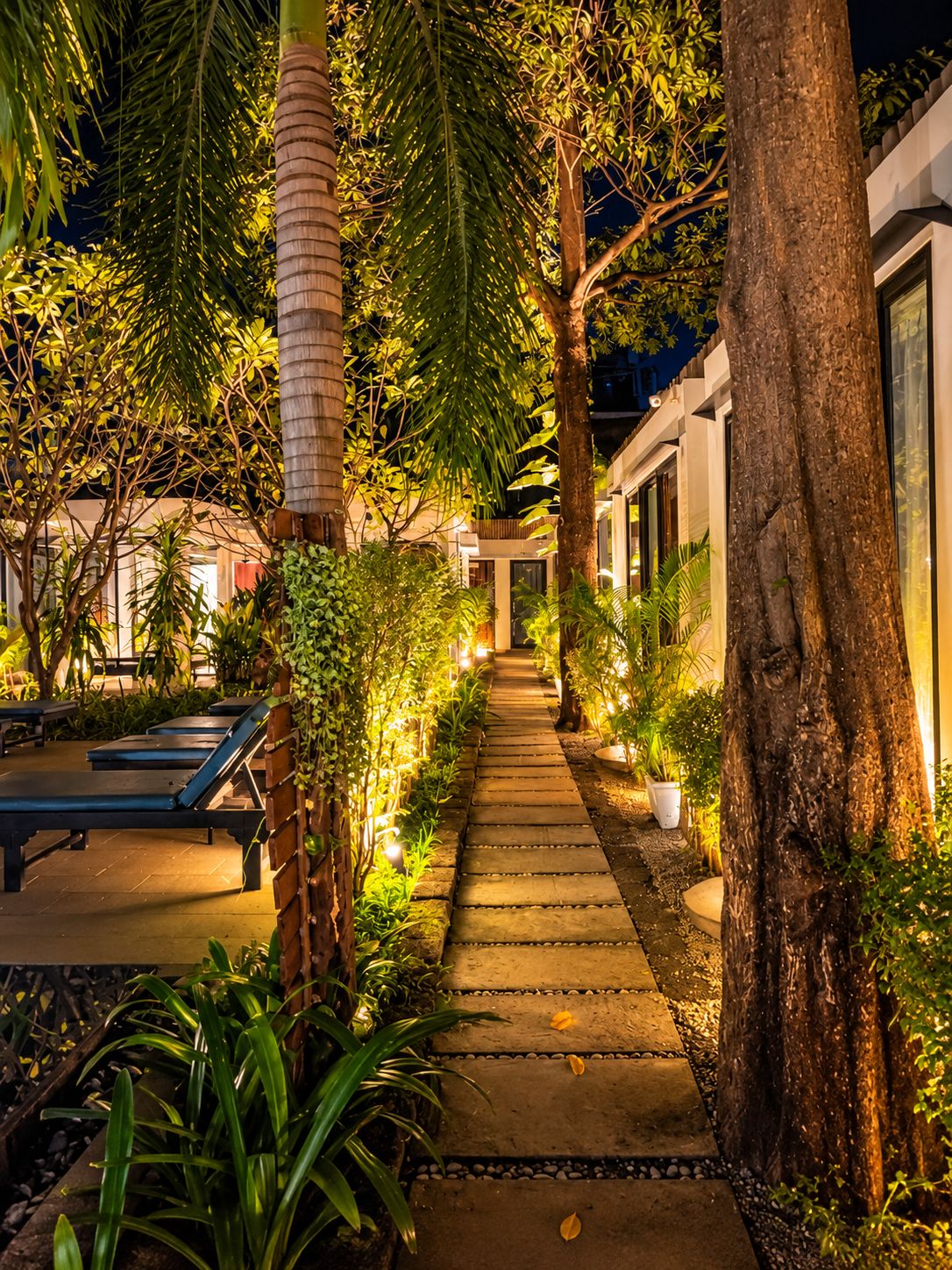A pathway lined with trees and plants leading to a building with a modern design.