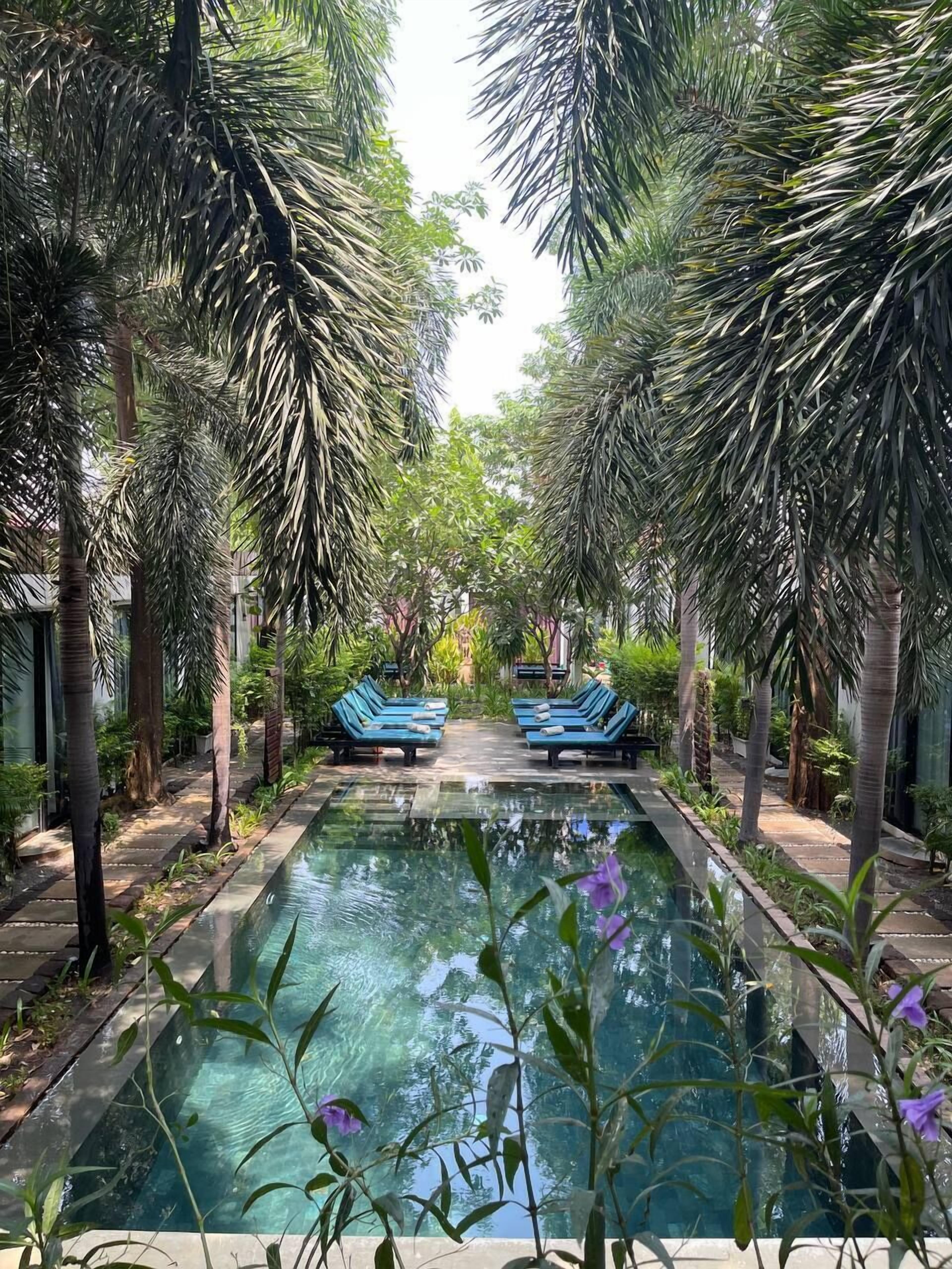 Piscine extérieure, chaises longues