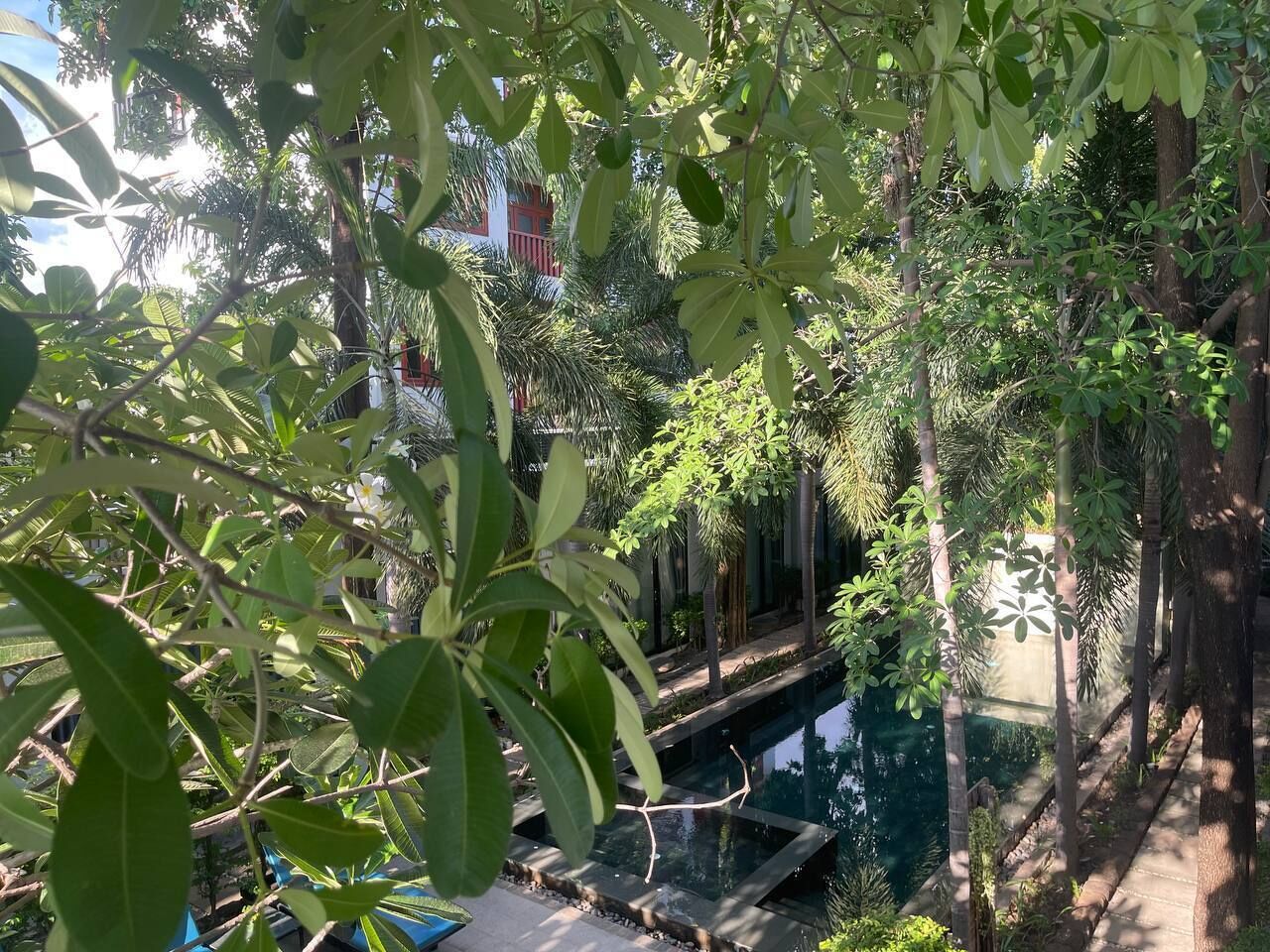 Piscina externa, espreguiçadeiras