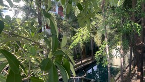 A garden with a water feature, surrounded by various trees and plants. - Tunnel Urban Retreat (Siem Reap)