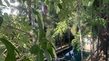 Piscina externa, espreguiçadeiras