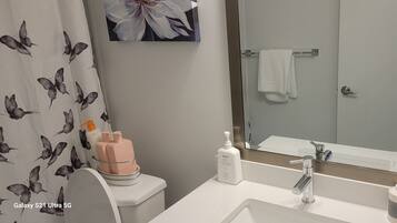 Hair dryer, towels, soap, shampoo