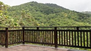 Une terrasse en bois avec une rambarde noire donnant sur une montagne verdoyante.