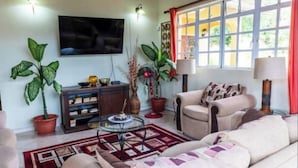 Un salon avec un canapé, une table basse, un téléviseur et des plantes en pot.