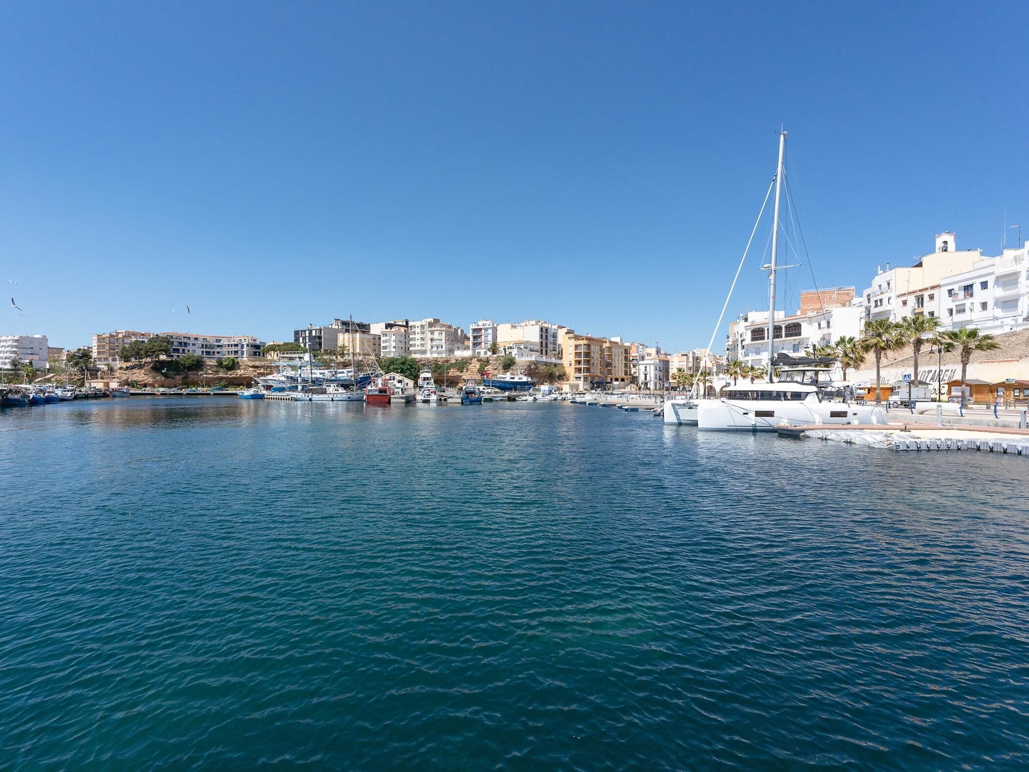 Un port esportiu amb vaixells amarrats, un pont i edificis al passeig marítim.