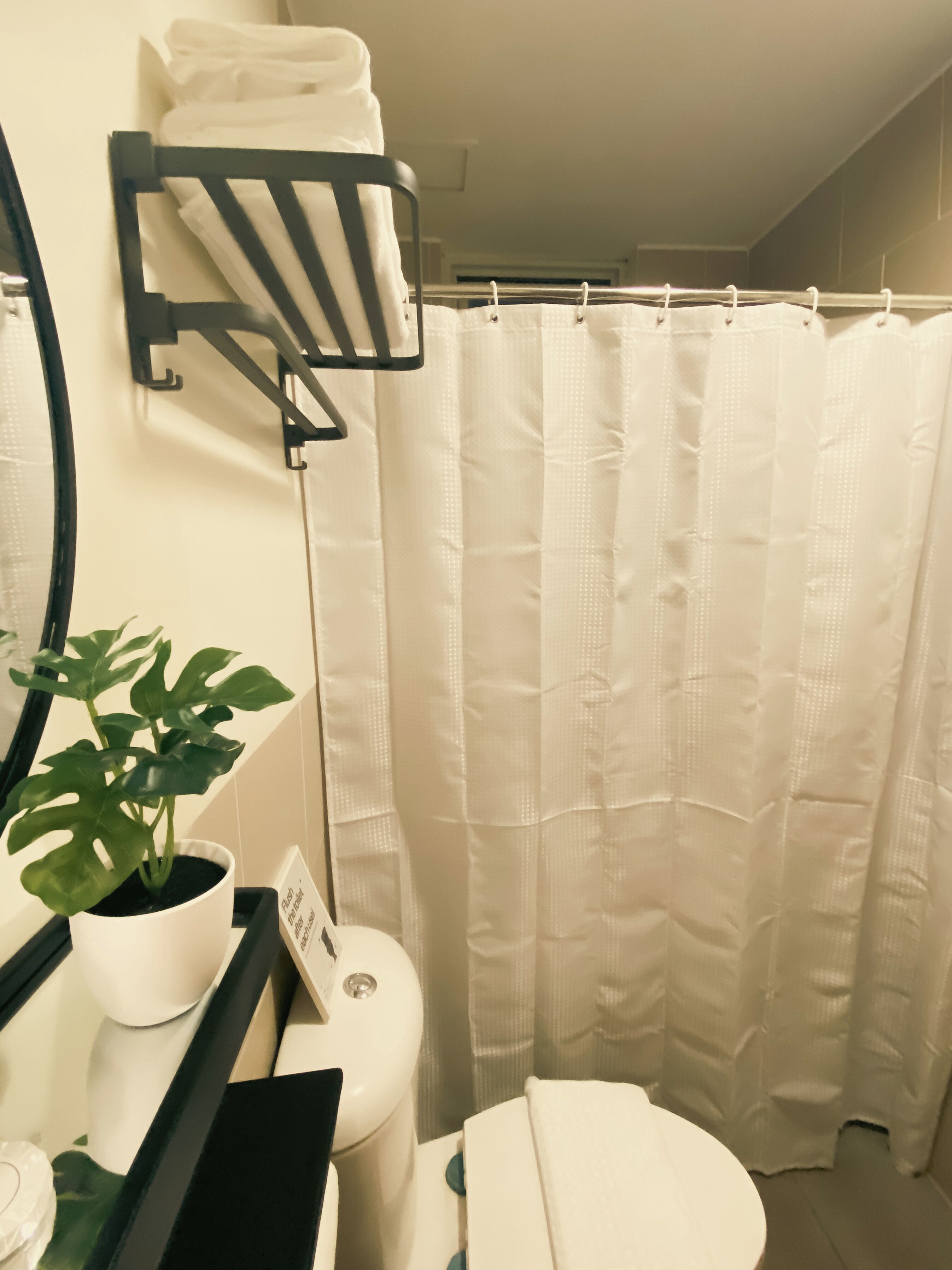 A bathroom with a toilet, a sink, a mirror, a towel rack, a shower curtain, and a potted plant.