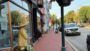 Una acera de ladrillo con una estatua de un oso, locales comerciales y una calle con automóviles.