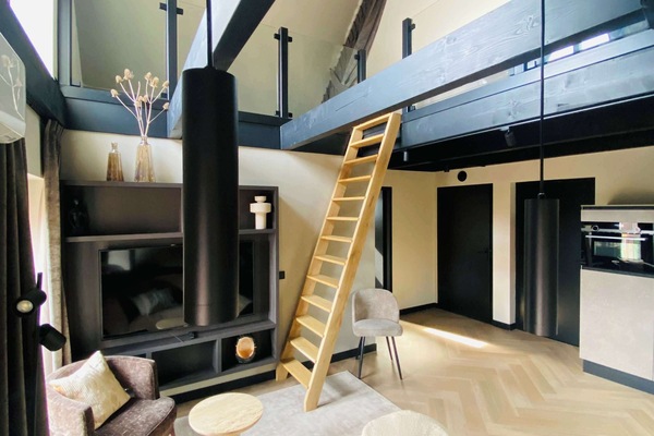Overview of space, showing ladder to upstairs bedroom