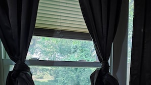 A window with black curtains tied back, revealing a view of a green landscape.