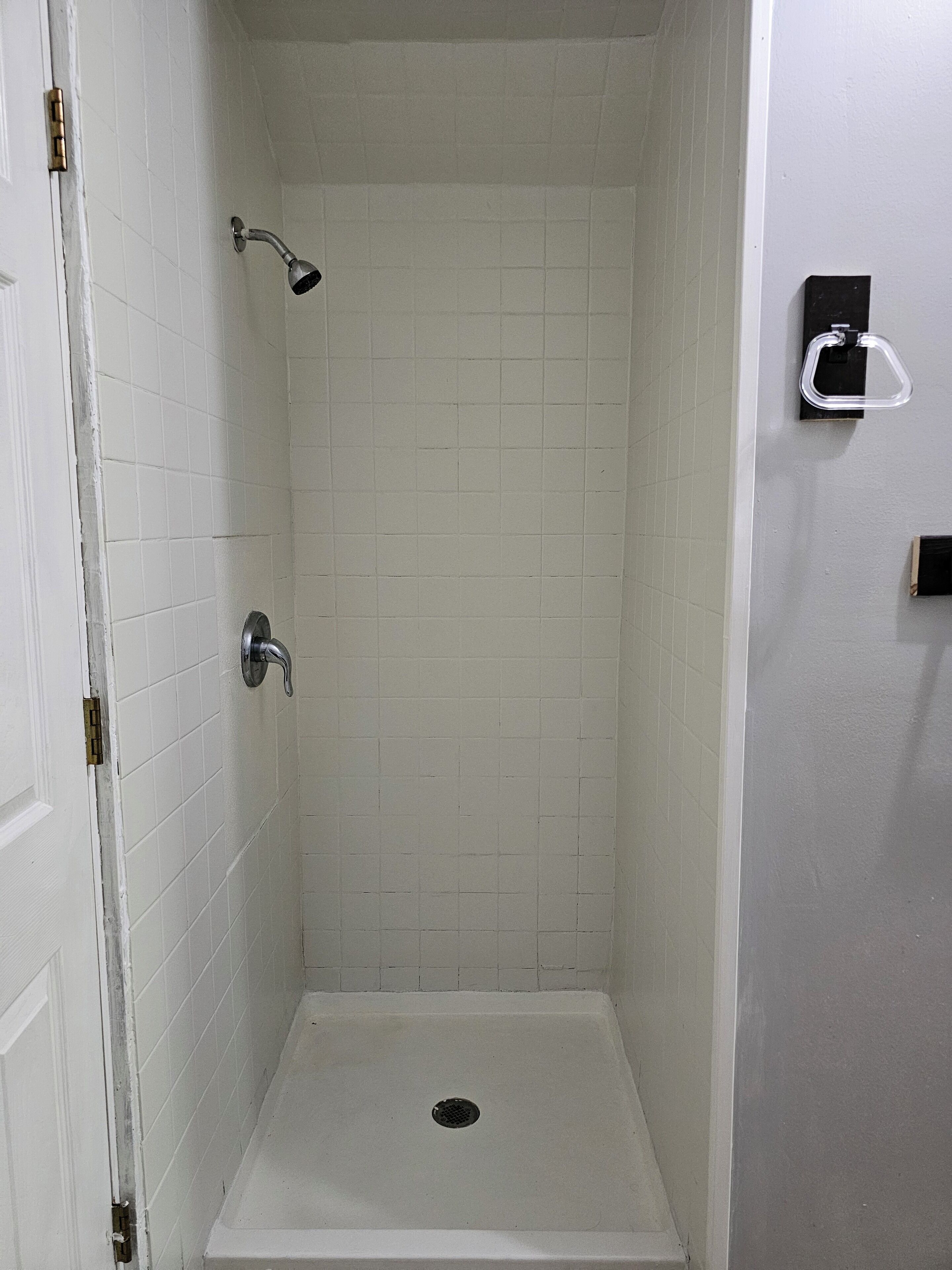 Shower, towels, toilet paper