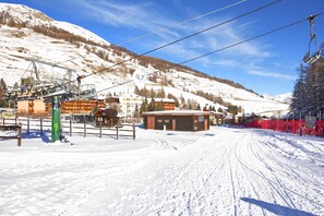 Sneeuw- en skisporten