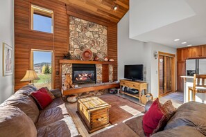 Smart TV, fireplace, books