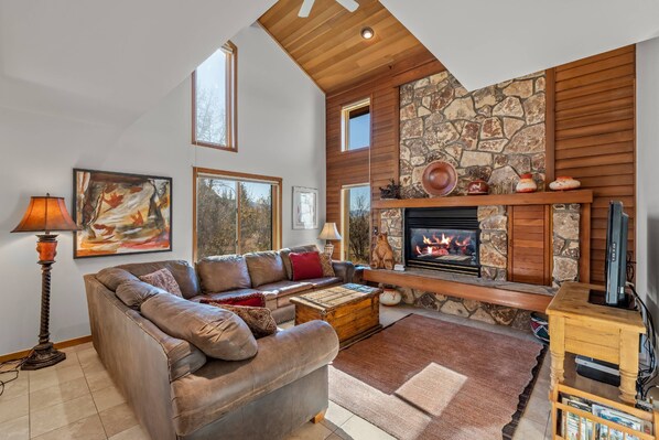 TV connectée, cheminée, livres