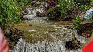 A small, natural stream flowing over rocks in a forested area. - Blue Shore Pavilion (Koh Rong)