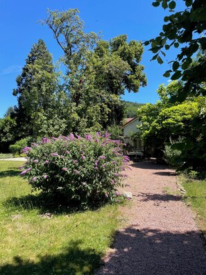 Property grounds - Gîte Clématite at Villa Mortaise in Burgundy (Morvan)  (Lucenay-l'Évêque)