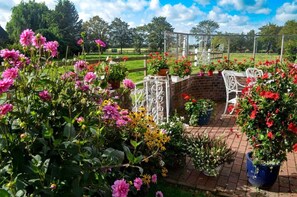 Área da propriedade