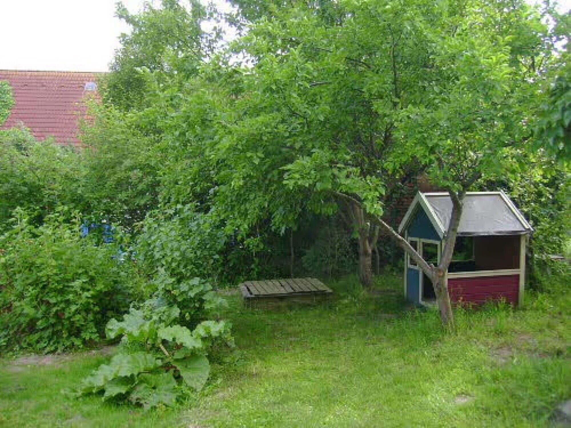 A small wooden structure with a sloped roof, surrounded by dense green foliage and a grassy area.