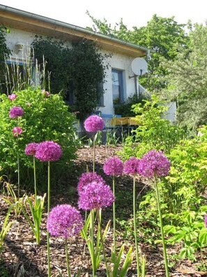 A garden with purple flowers and a building with a satellite dish. - Apartment 'Landhaus Strietfeld-Ferienwohnung 1' with Lake View, Shared Terrace and Shared Garden (Walow-Strietfeld)