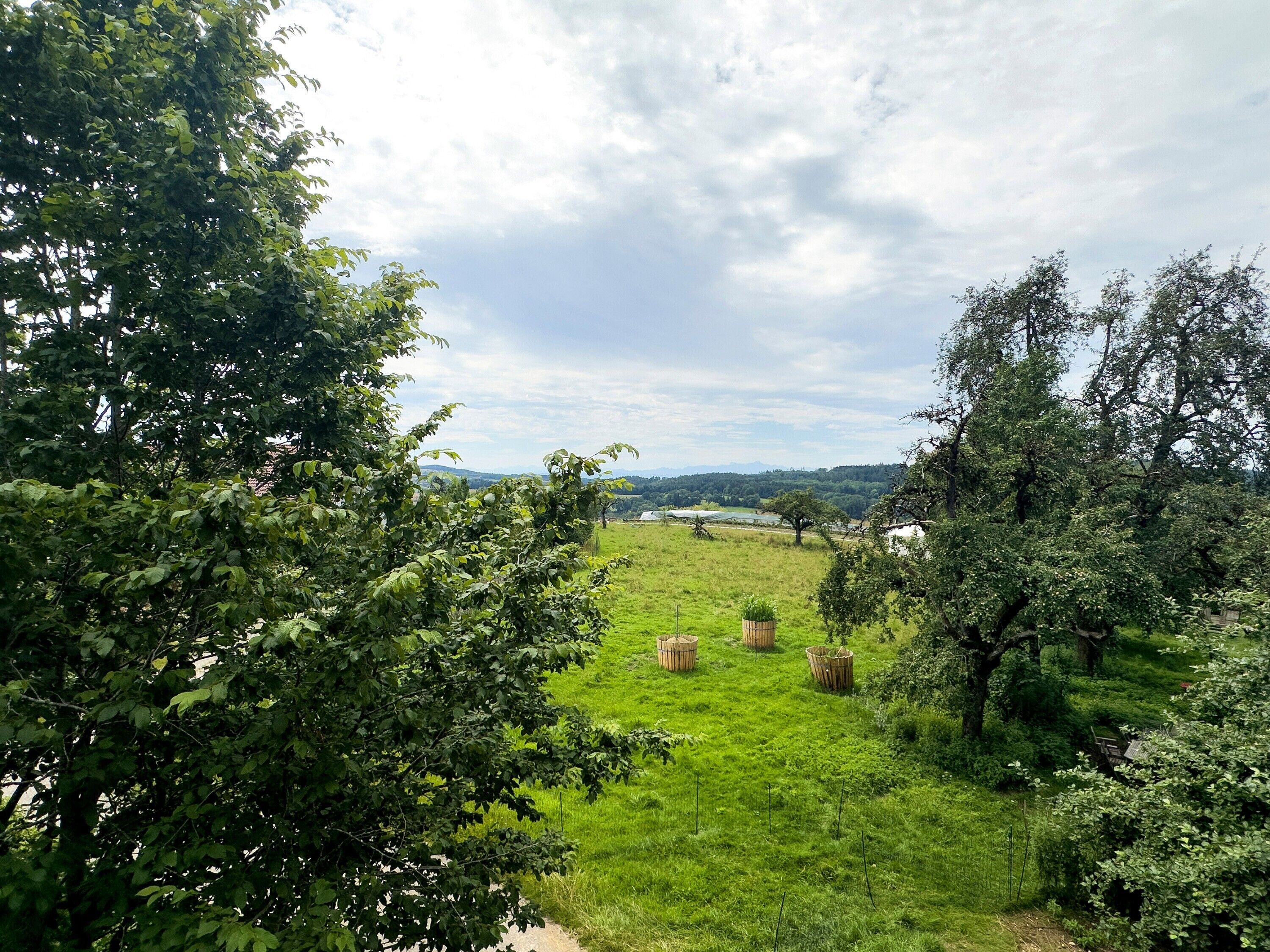 Üppiges, grünes Feld mit Bäumen und Heuballen, ein klarer Himmel und ein weiter Blick auf einen See und Berge im Hintergrund.