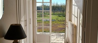 Country Escape : Breathtaking views of vines and horses