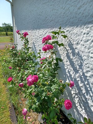 تفاصيل الفندق من الخارج