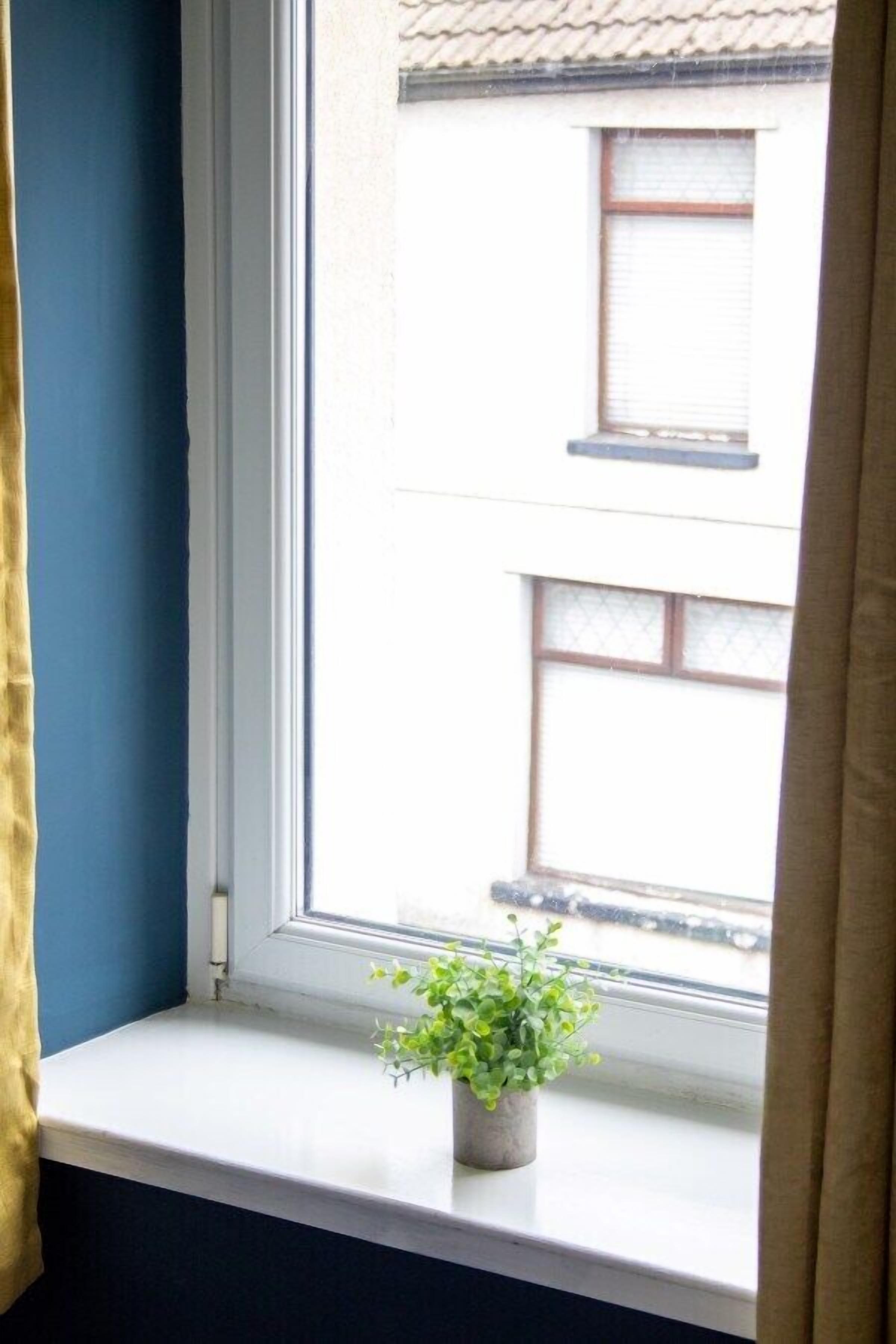 A window with a potted plant on the sill, a blue wall, and a white window frame.