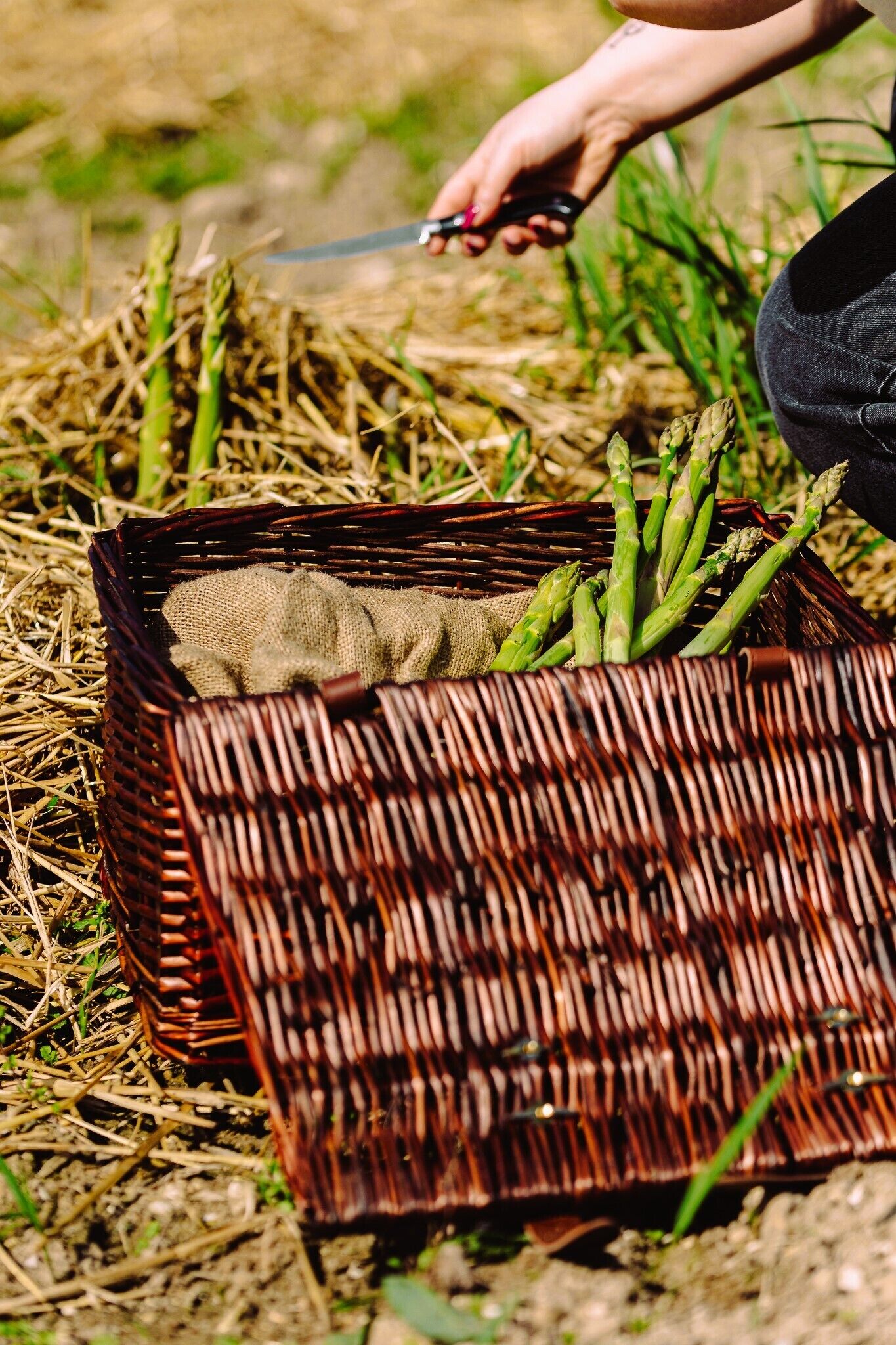 A wicker basket filled with asparagus on straw.