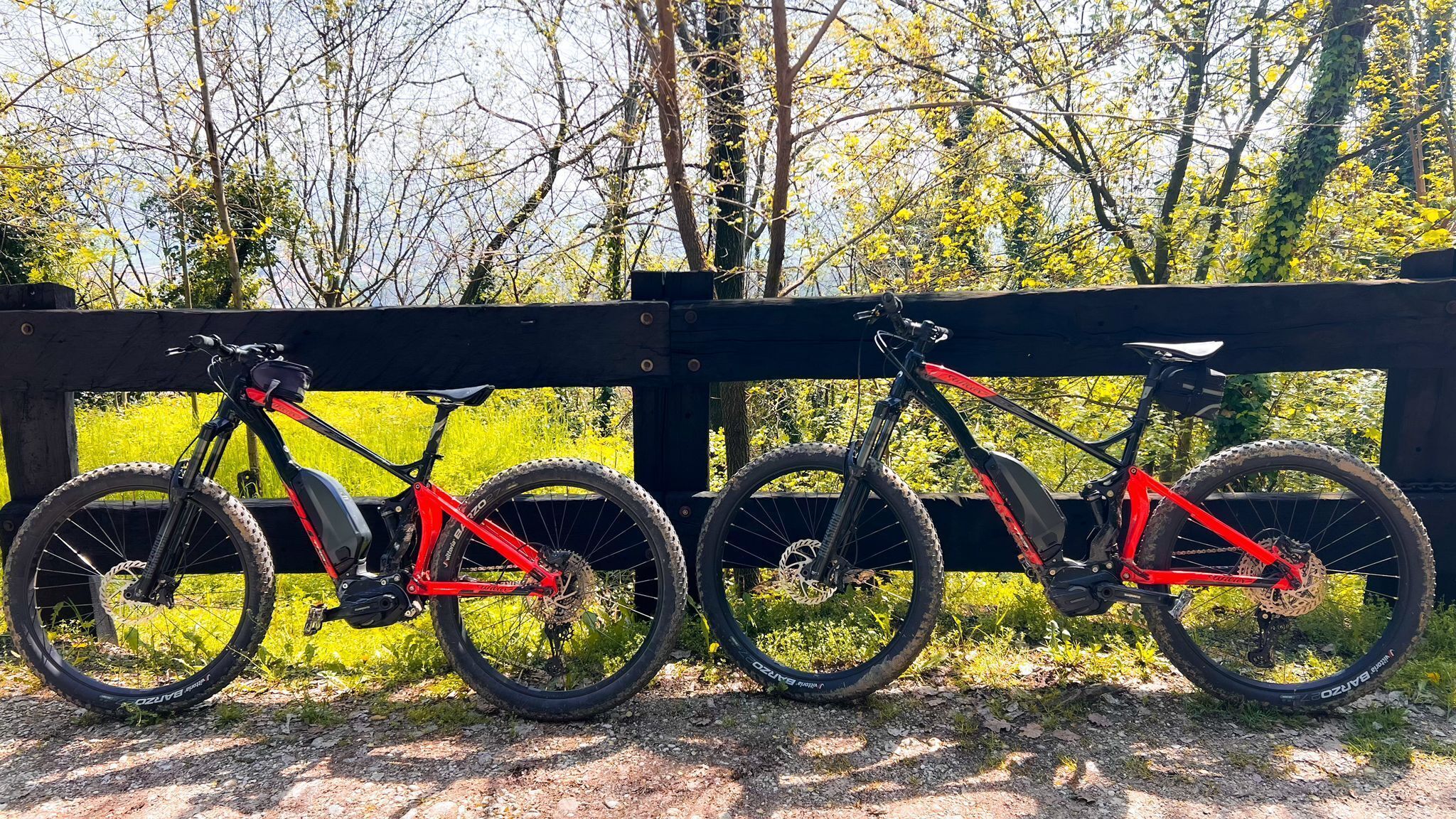 自転車
