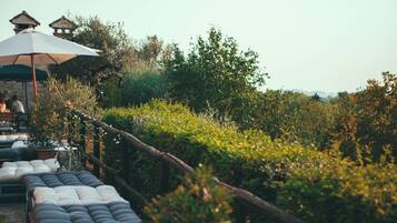 A garden setting with outdoor seating and a rustic fence.