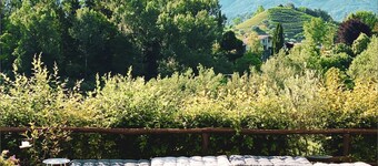 Asolo Norah's Hill Agri Rooms