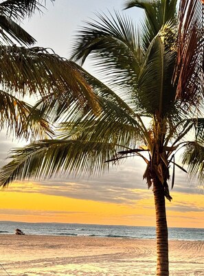 Exterior - Villa Palmeira (Inhambane)