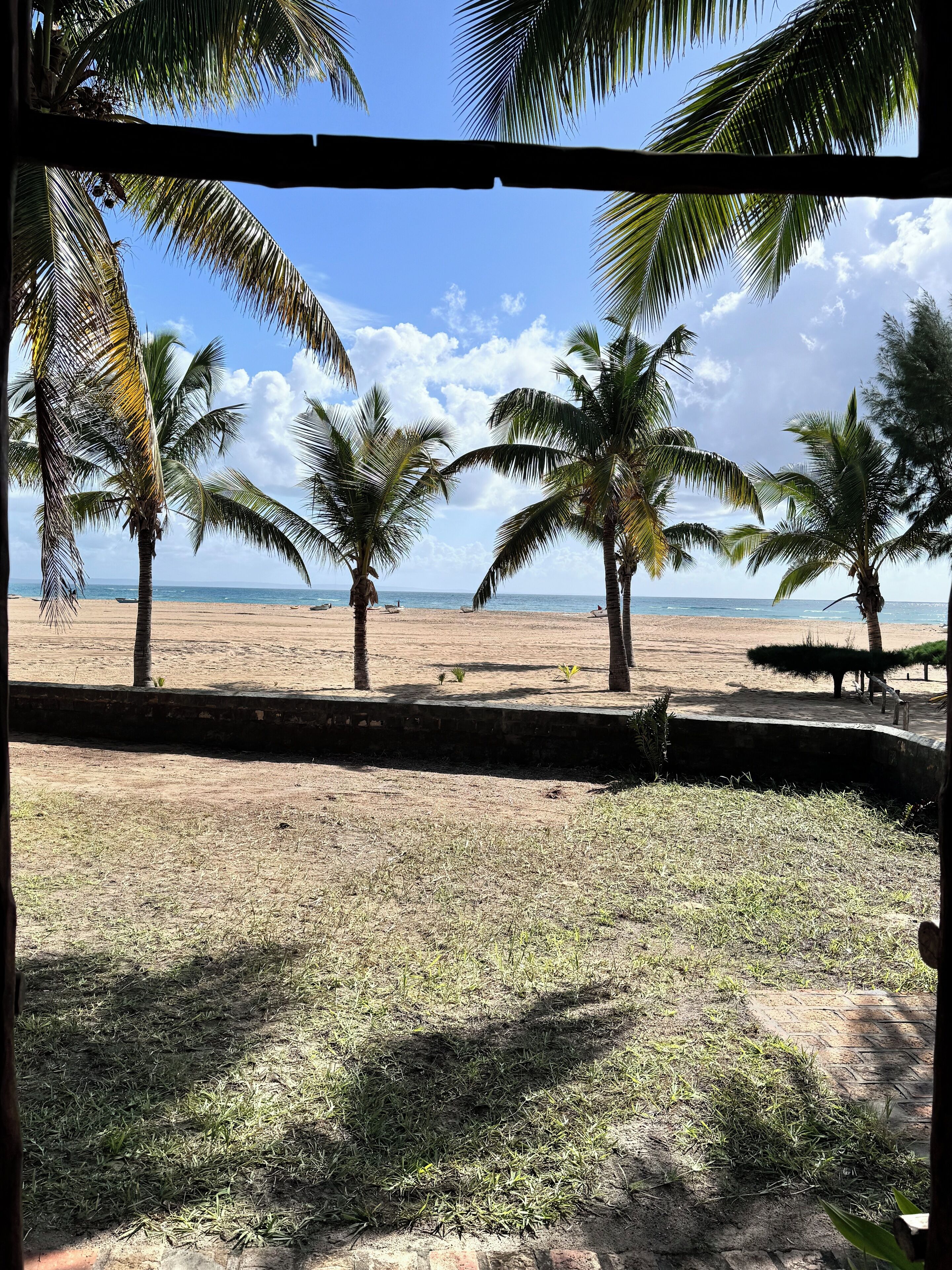 A beach with palm trees and a clear sky.
