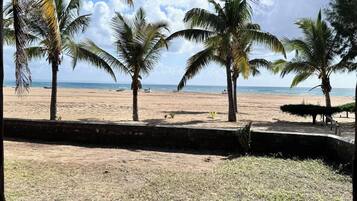 A beach with palm trees and a clear sky.