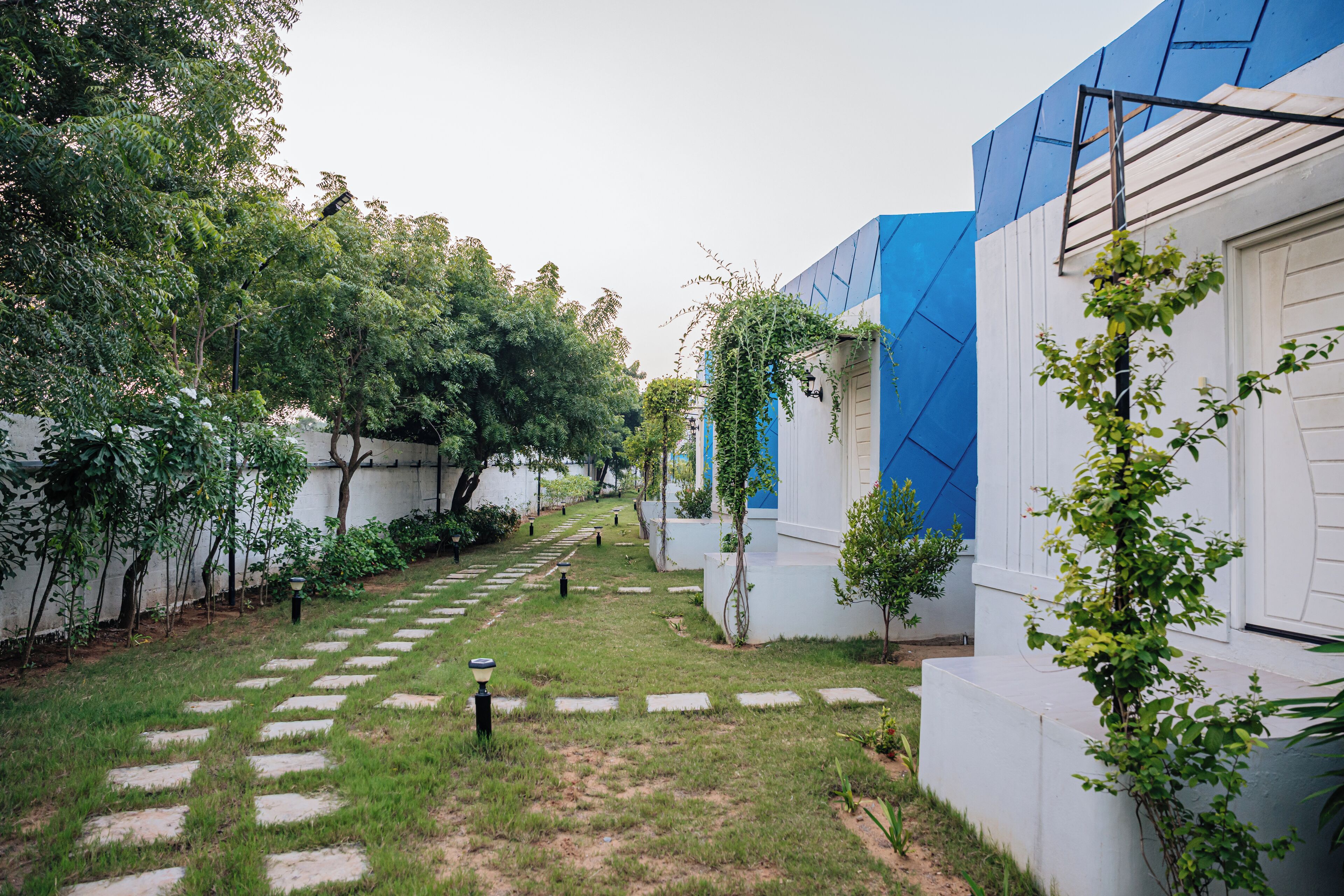 A courtyard with a stone pathway, greenery, and a building with blue and white walls.