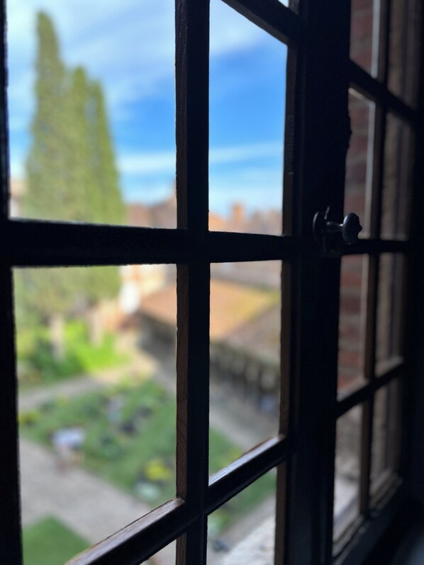 A window with a view of a green landscape and a clear sky.