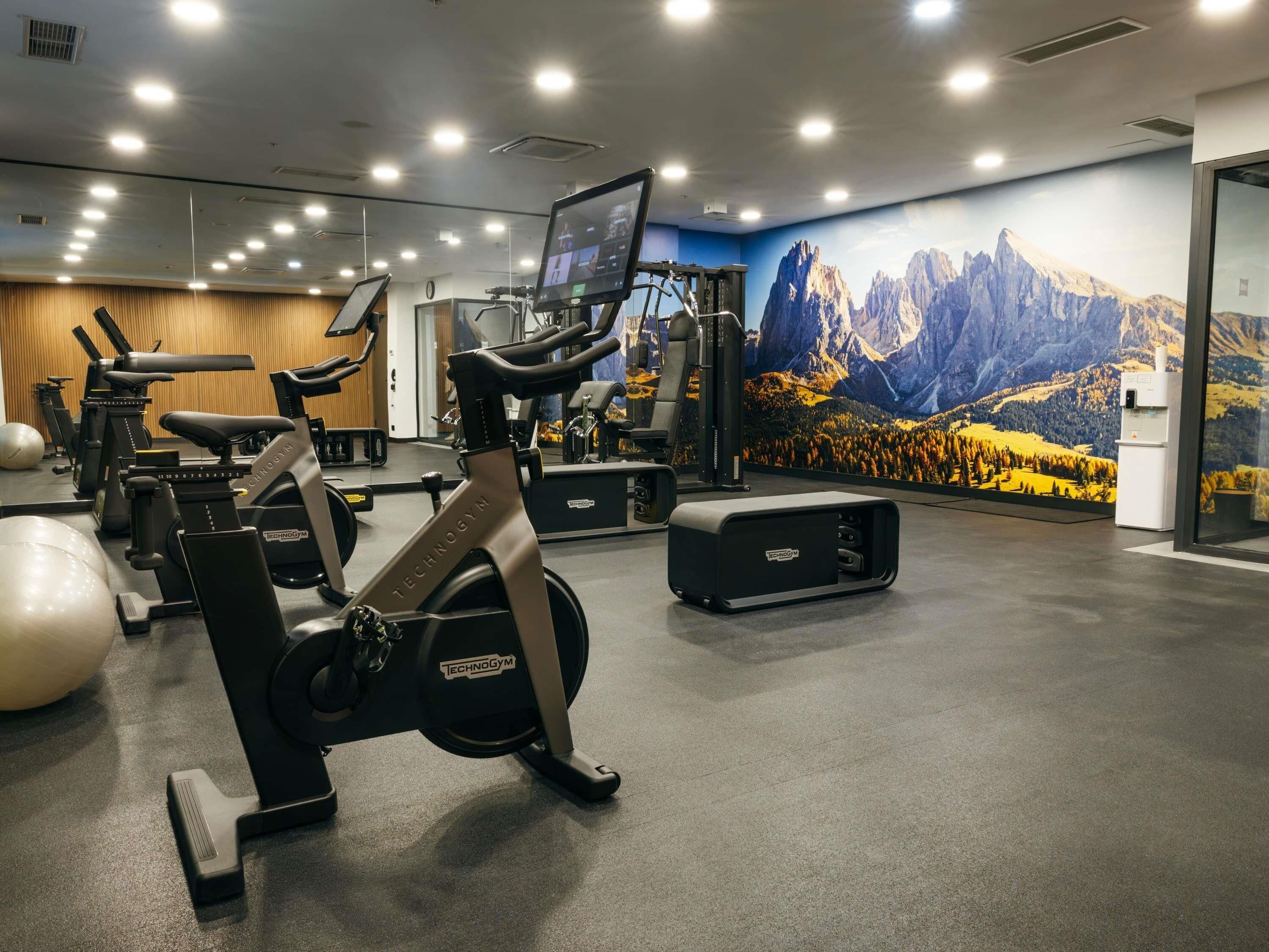 A gym with cardio machines, weightlifting equipment, and a large mountain mural.